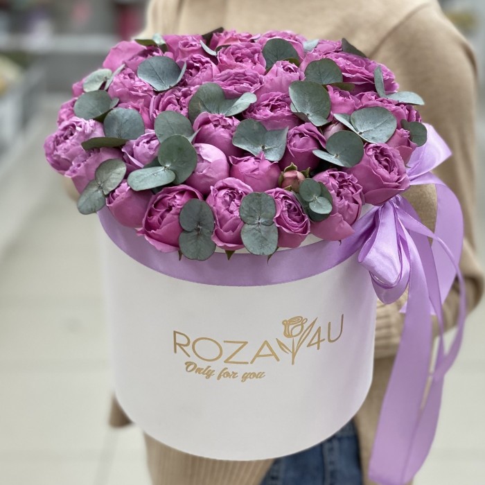 Мисти Баблс с эвкалиптом в коробке